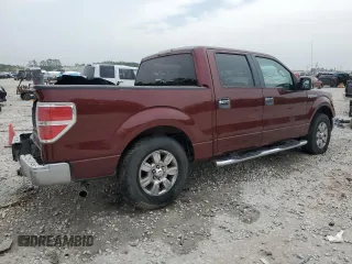 2009 Ford F-150 XL with VIN 1FTRW12849FA64308, listed as a Copart auction lot 50622195 with 177,088 mi miles and Non Repairable. Bid and sale history available at carsss.com. Image 3.