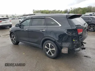 2017 Kia Sorento EX with VIN 5XYPH4A59HG301722, listed as a Copart auction lot 48353185 with 87,128 mi miles and Salvage Title. Bid and sale history available at carsss.com. Image 2.