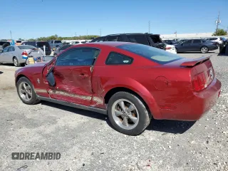 2006 Ford Mustang Standard with VIN 1ZVFT80N365106267, listed as a Copart auction lot 49793925 with Not Provided miles and Salvage Title. Bid and sale history available at carsss.com. Image 2.