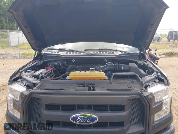 2015 Ford F-150 XL with VIN 1FTEX1C88FKE45401, listed as a IAAI auction lot 42667833 with 250,866 mi miles and . Bid and sale history available at DreamBid. Image 10.