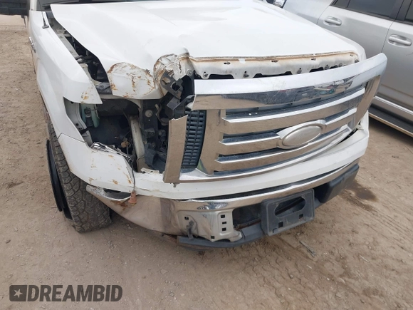 2009 Ford F-150 STX with VIN 1FTRX12819FA25009, listed as a IAAI auction lot 41468579 with 161,763 mi miles. Bid and sale history available at carsss.com. Image 6.