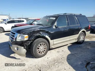 2009 Ford Expedition Eddie Bauer z VIN 1FMFU18589EB03540, wystawiony jako Copart lot #85574894 z przebiegiem 175 450 mil mil oraz Szkoda całkowita • Salvage title. Historia ofert i sprzedaży dostępna na DreamBid. Obrazek 1.