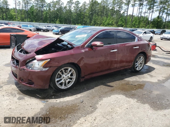 2011 Nissan Maxima SV with VIN 1N4AA5AP4BC803251, listed as a Copart auction lot 54406115 with 174,120 mi miles and Salvage title. Bid and sale history available at DreamBid. Image 1.