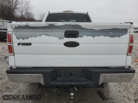 2009 Ford F-150 STX with VIN 1FTRX12809KB12665, listed as a Copart auction lot 42559065 with 300,074 mi miles and Salvage Title. Bid and sale history available at DreamBid. Image 6.