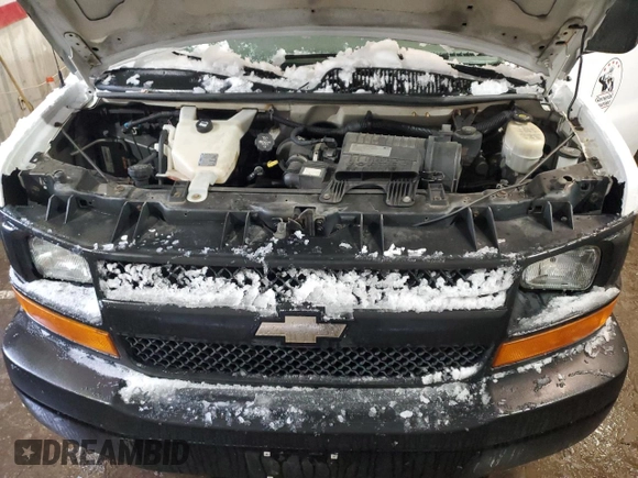 2017 Chevrolet Express Cargo Van with VIN 1GCWGBFF7H1103452, listed as a Copart auction lot 44024895 with 250,899 mi miles and Clean Title. Bid and sale history available at carsss.com. Image 12.