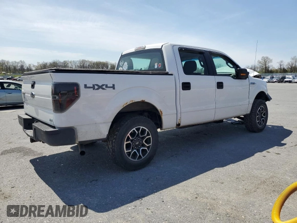 2010 Ford F-150 XL with VIN 1FTFW1EV6AKE26946, listed as a Copart auction lot 53942875 with 217,777 mi miles and Salvage Title. Bid and sale history available at carsss.com. Image 3.