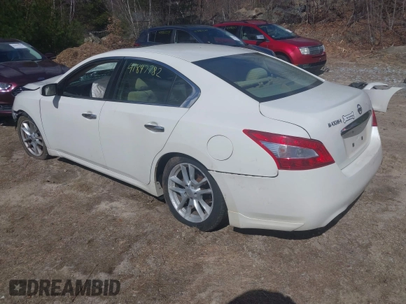 2010 Nissan Maxima SV with VIN 1N4AA5AP9AC822215, listed as a IAAI auction lot 41847782 with Not provided miles and . Bid and sale history available at DreamBid. Image 3.