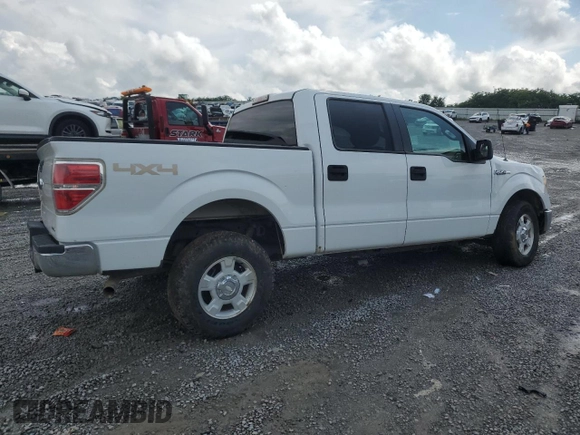 2013 Ford F-150 XL with VIN 1FTFW1EF7DKE89244, listed as a Copart auction lot 61155845 with 158,207 mi miles and Salvage title. Bid and sale history available at DreamBid. Image 3.