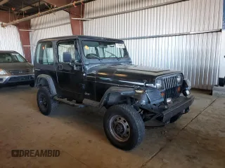 1994 Jeep Wrangler S with VIN 1J4FY19P9RP425255, listed as a Copart auction lot 41884425 with 177,089 mi miles and Salvage Title. Bid and sale history available at carsss.com. Image 4.