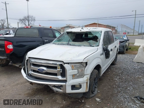2015 Ford F-150 XL with VIN 1FTEW1CF9FFA40738, listed as a IAAI auction lot 41715885 with 296,111 mi miles. Bid and sale history available at carsss.com. Image 6.