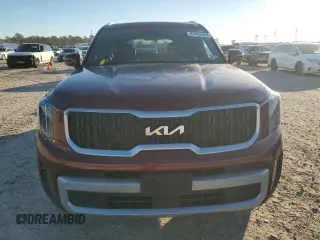 2024 Kia Telluride EX with VIN 5XYP34GC5RG482310, listed as a Copart auction lot 87464404 with 15,146 mi miles and Salvage Title. Bid and sale history available at DreamBid. Image 5.