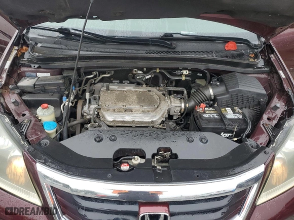 2009 Honda Odyssey EX-L with VIN 5FNRL38799B012826, listed as a Copart auction lot 49050654 with 202,441 mi miles and Salvage Title. Bid and sale history available at carsss.com. Image 12.