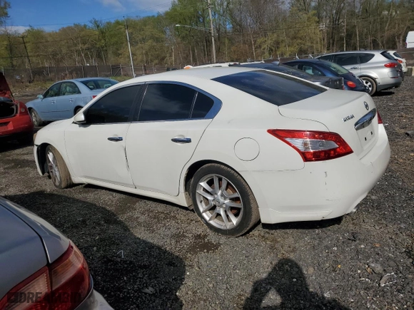2009 Nissan Maxima 3.5 SV w/Sport Pkg with VIN 1N4AA51EX9C843598, listed as a Copart auction lot 51789415 with 0 mi miles and Salvage Title. Bid and sale history available at carsss.com. Image 2.