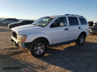 2004 Dodge Durango SLT with VIN 1D4HD48D24F160828, listed as a Copart auction lot 80198614 with 125,258 mi miles and Salvage Title. Bid and sale history available at carsss.com. Image 1.
