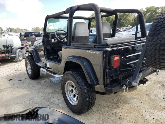1995 Jeep Wrangler with VIN 1J4FY29SXSP230216, listed as a Copart auction lot 77257834 with 144,217 mi miles and Salvage Title. Bid and sale history available at carsss.com. Image 2.