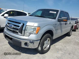 2010 Ford F-150 XL with VIN 1FTEW1C88AFA71473, listed as a Copart auction lot 61420085 with 143,965 mi miles and Salvage title. Bid and sale history available at DreamBid. Image 1.