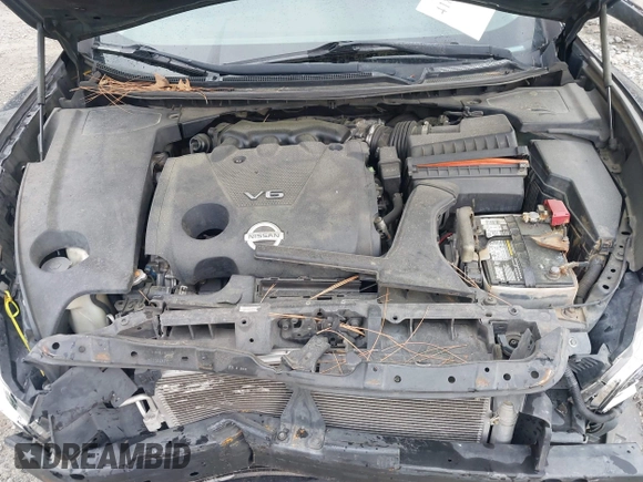2012 Nissan Maxima S with VIN 1N4AA5AP5CC822117, listed as a IAAI auction lot 41816986 with 305,817 mi miles and . Bid and sale history available at DreamBid. Image 10.
