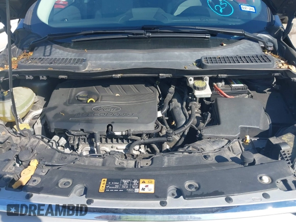 2017 Ford Escape SE with VIN 1FMCU0GD7HUA38402, listed as a IAAI auction lot 41964197 with 205,577 mi miles. Bid and sale history available at carsss.com. Image 10.