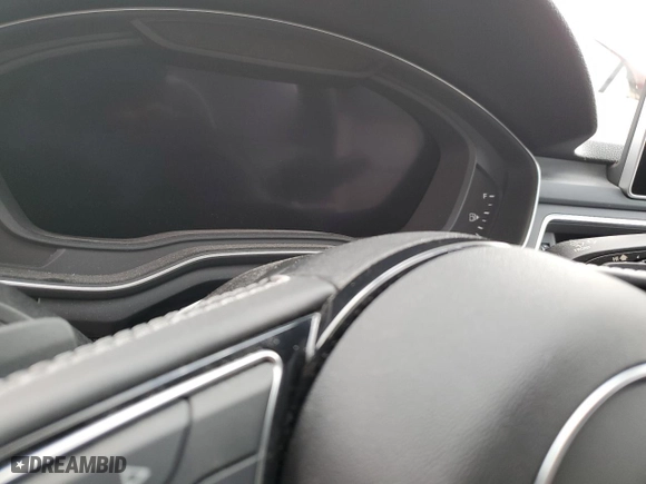 2019 Audi S5 Coupe Premium Plus with VIN WAUP4AF55KA009038, listed as a Copart auction lot 73935014 with 0 mi miles and Non Repairable. Bid and sale history available at carsss.com. Image 9.