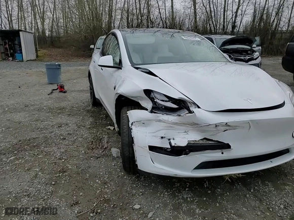 2021 Tesla Model Y Standard Range with VIN 5YJYGDED6MF121446, listed as a Copart auction lot 48629295 with 0 mi miles and Salvage Title. Bid and sale history available at carsss.com. Image 12.