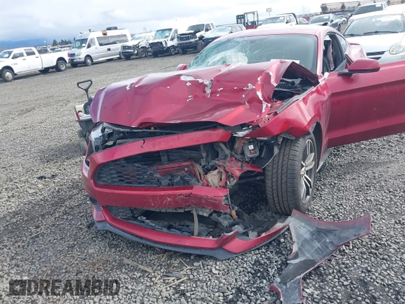 2016 Ford Mustang EcoBoost with VIN 1FA6P8TH0G5203043, listed as a IAAI auction lot 41690194 with Not provided miles and . Bid and sale history available at DreamBid. Image 6.