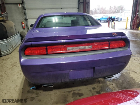 2010 Dodge Challenger R/T with VIN 2B3CJ5DTXAH173115, listed as a Copart auction lot 49111015 with 106,798 mi miles and Salvage Title. Bid and sale history available at carsss.com. Image 6.