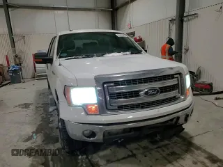 2014 Ford F-150 XL with VIN 1FTEW1CM1EFC85482, listed as a Copart auction lot 45533885 with 207,738 mi miles and Salvage Title. Bid and sale history available at carsss.com. Image 11.