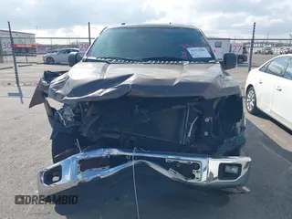 2016 Ford F-150 XL with VIN 1FTEX1C81GKE08577, listed as a IAAI auction lot 41523206 with Not Provided miles and . Bid and sale history available at carsss.com. Image 6.