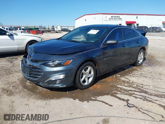 2019 Chevrolet Malibu LS with VIN 1G1ZB5ST1KF142016, listed as a IAAI auction lot 41770598 with 117,175 mi miles and . Bid and sale history available at DreamBid. Image 17.