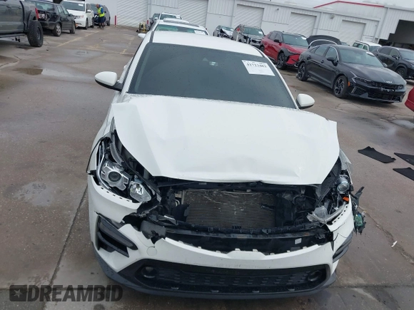2019 Kia Forte S with VIN 3KPF34ADXKE016954, listed as a IAAI auction lot 41723482 with 192,693 mi miles. Bid and sale history available at carsss.com. Image 12.