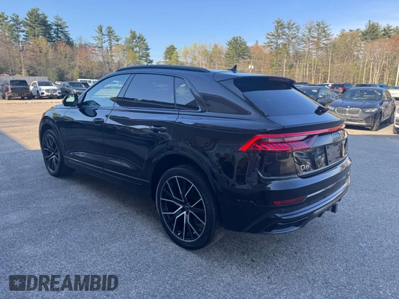 2019 Audi Q8 Premium Plus with VIN WA1EVAF16KD031014, listed as a Copart auction lot 55879645 with 116,056 mi miles and Clean Title. Bid and sale history available at carsss.com. Image 3.