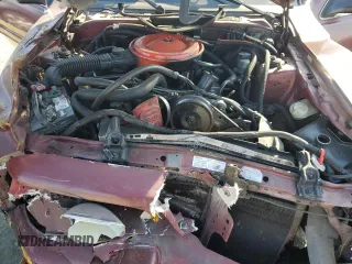 1987 Ford Thunderbird with VIN 1FABP6034HH150617, listed as a Copart auction lot 88818505 with 115,619 mi miles and Salvage Title. Bid and sale history available at carsss.com. Image 12.