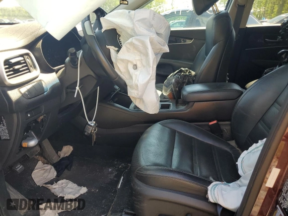 2017 Kia Sorento LX with VIN 5XYPGDA39HG328484, listed as a Copart auction lot 52297085 with Not provided miles and Salvage title. Bid and sale history available at DreamBid. Image 7.