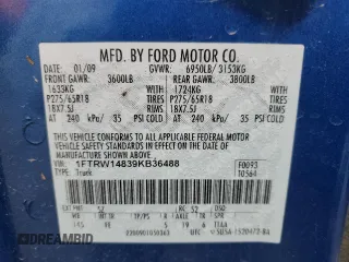 2009 Ford F-150 XL with VIN 1FTRW14839KB36488, listed as a Copart auction lot 44341515 with 243,748 mi miles and Salvage Title. Bid and sale history available at DreamBid. Image 12.