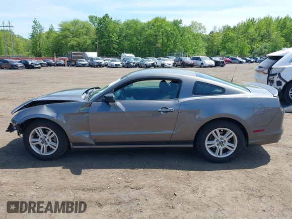 2013 Ford Mustang V6 with VIN 1ZVBP8AM3D5208951, listed as a IAAI auction lot 42246454 with 100,143 mi miles and . Bid and sale history available at DreamBid. Image 14.