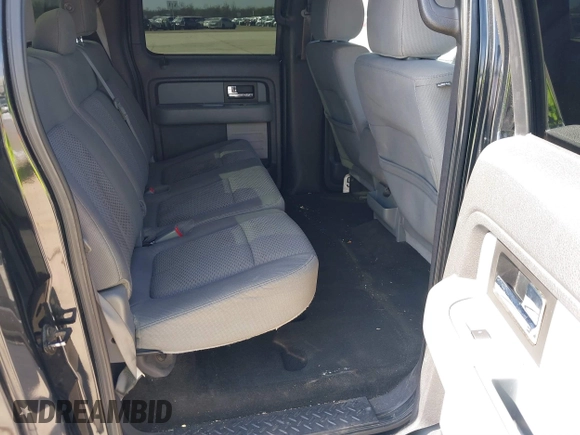 2013 Ford F-150 XL with VIN 1FTEW1CM8DFB46108, listed as a IAAI auction lot 41587199 with 195,251 mi miles. Bid and sale history available at carsss.com. Image 8.