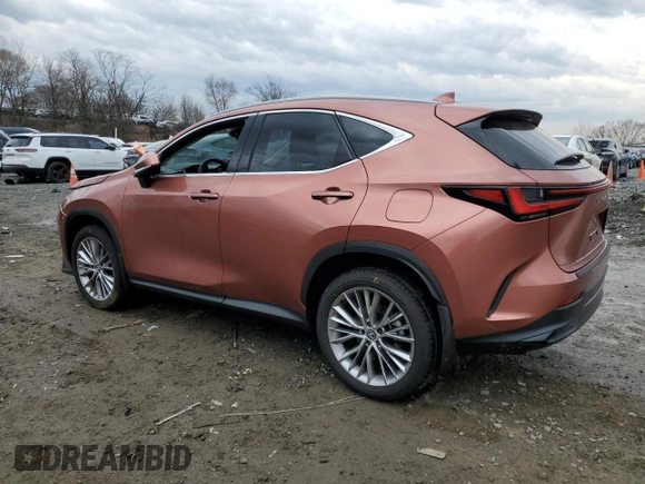 2025 Lexus NX with VIN 2T2GGCEZ6SC071842, listed as a Copart auction lot 47212065 with 4,423 mi miles and Salvage Title. Bid and sale history available at carsss.com. Image 2.