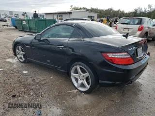 2013 Mercedes-Benz SLK 250 with VIN WDDPK4HA9DF061496, listed as a Copart auction lot 78623714 with Not provided miles and Salvage title. Bid and sale history available at DreamBid. Image 2.