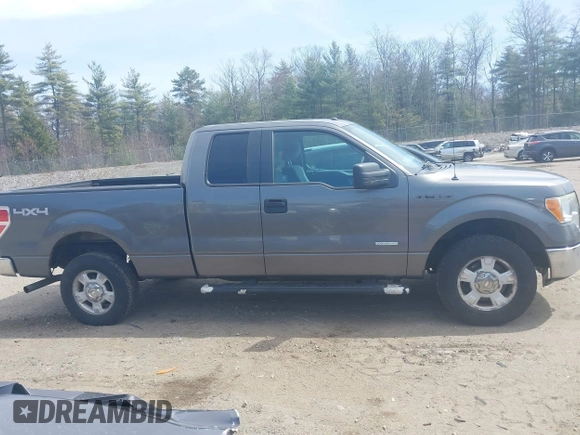 2011 Ford F-150 XL with VIN 1FTFX1ET5BFB49485, listed as a IAAI auction lot 42074270 with 206,090 mi miles. Bid and sale history available at carsss.com. Image 14.
