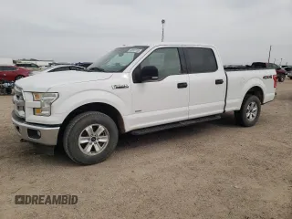2017 Ford F-150 XL with VIN 1FTFW1EG2HFA89227, listed as a Copart auction lot 50553105 with 135,197 mi miles and Salvage Title. Bid and sale history available at carsss.com. Image 1.