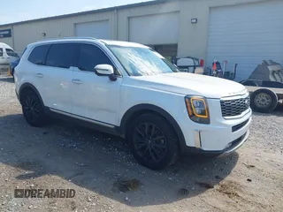 2020 Kia Telluride SX with VIN 5XYP5DHC4LG067625, listed as a IAAI auction lot 42302019 with 134,266 mi miles and . Bid and sale history available at DreamBid. Image 1.