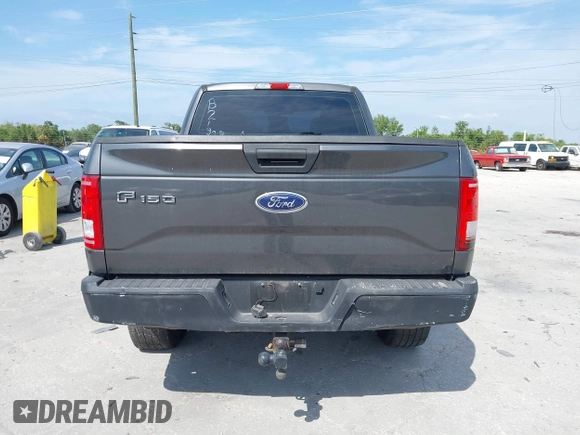 2016 Ford F-150 XL with VIN 1FTEX1C81GFB21328, listed as a IAAI auction lot 41746464 with 172,804 mi miles and . Bid and sale history available at carsss.com. Image 16.