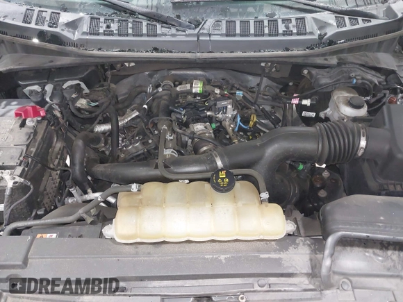 2020 Ford F-150 XL with VIN 1FTEW1EP7LFA52999, listed as a IAAI auction lot 42395772 with 75,709 mi miles and . Bid and sale history available at DreamBid. Image 10.