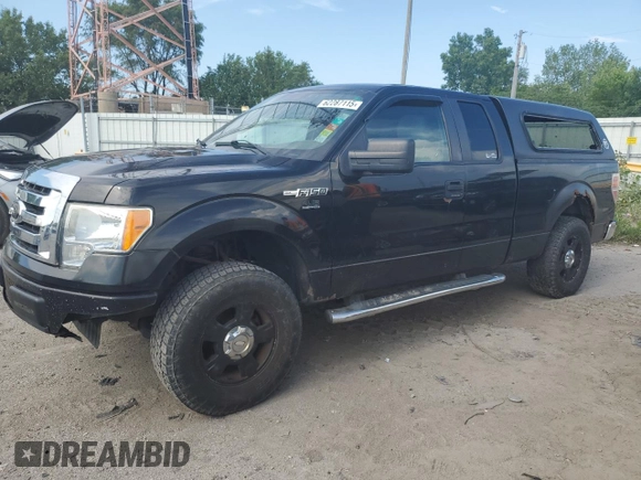 2010 Ford F-150 XL with VIN 1FTEX1C86AFD96491, listed as a Copart auction lot 62287115 with 283,496 mi miles and Clean title. Bid and sale history available at DreamBid. Image 1.