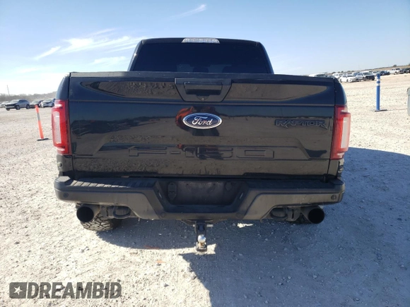 2019 Ford F-150 Raptor with VIN 1FTFW1RG0KFB43691, listed as a Copart auction lot 42049535 with 174,785 mi miles and Salvage Title. Bid and sale history available at carsss.com. Image 6.