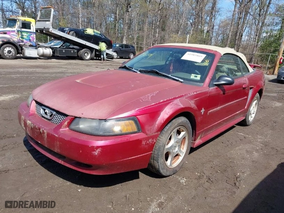 2003 Ford Mustang Deluxe with VIN 1FAFP44443F367341, listed as a IAAI auction lot 41985869 with 1 mi miles. Bid and sale history available at carsss.com. Image 2.