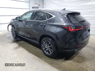 2022 Lexus NX with VIN 2T2GGCEZXNC004228, listed as a Copart auction lot 48962545 with 31,451 mi miles and Salvage Title. Bid and sale history available at carsss.com. Image 2.