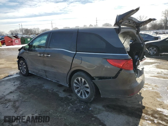 2021 Honda Odyssey EX-L with VIN 5FNRL6H70MB020405, listed as a Copart auction lot 46186085 with 61,300 mi miles and Salvage Title. Bid and sale history available at DreamBid. Image 2.