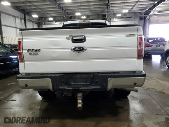 2014 Ford F-150 XL with VIN 1FTFX1ET4EKG44031, listed as a Copart auction lot 50257415 with 172,821 mi miles and Salvage Title. Bid and sale history available at carsss.com. Image 6.
