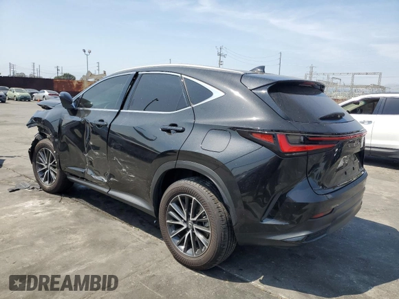 2024 Lexus NX 250 with VIN 2T2ADCAZ9RC012170, listed as a Copart auction lot 54069385 with 19,400 mi miles and Salvage title. Bid and sale history available at DreamBid. Image 2.